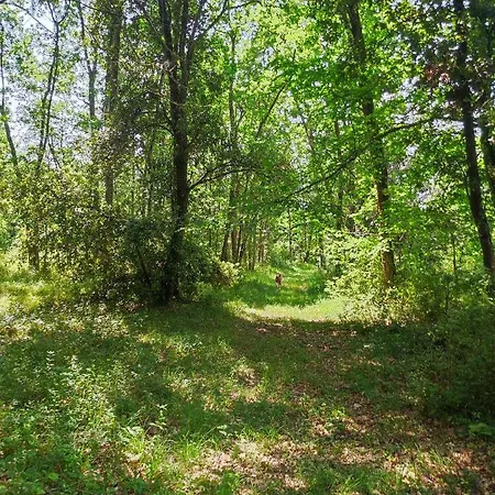 Séjour à la campagne La Roulotte Couzotte