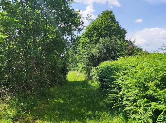 La Roulotte Couzotte Couze-et-Saint-Front