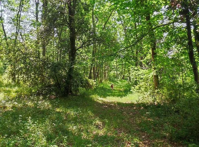 Landhuis La Roulotte Couzotte