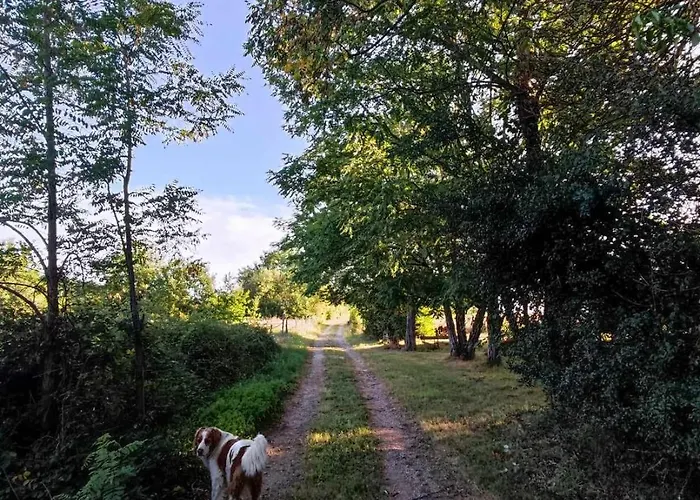 Landhuis La Roulotte Couzotte Couze-et-Saint-Front