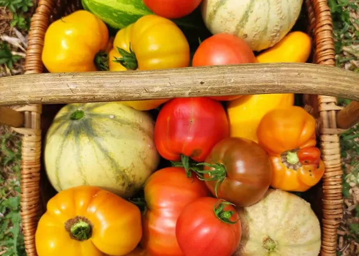 La Roulotte Couzotte Couze-et-Saint-Front